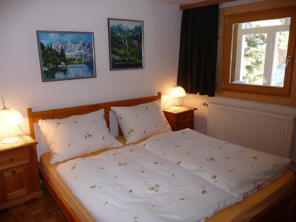 Haus Gradwohl Apartment ชลัดมิง ห้อง รูปภาพ
